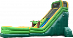 22’ Palm Tree Water Slide