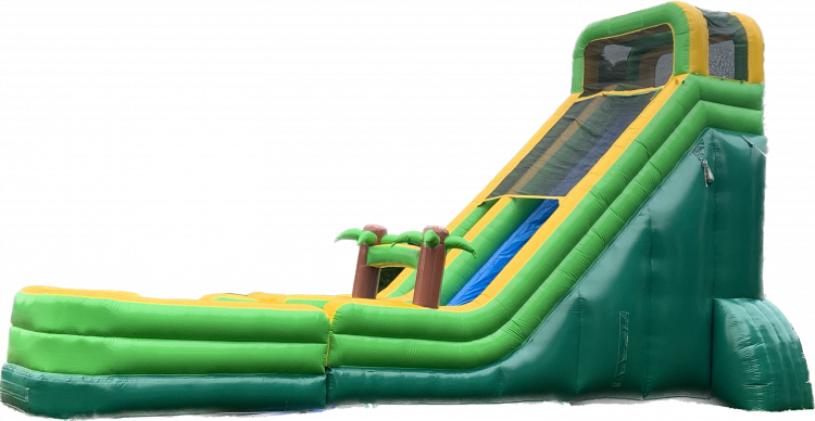 22’ Palm Tree Water Slide