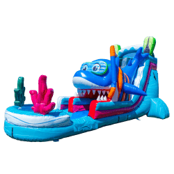 Baby Shark Water Slide