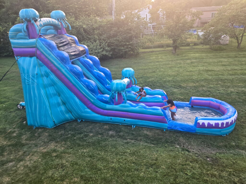 8269976107948901918 Gallery